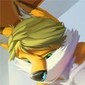 Avatar do usuário