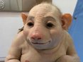 Avatar do usuário