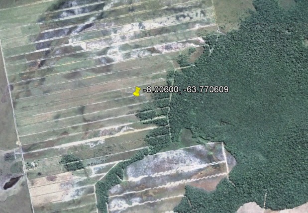 imagem.jpg