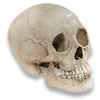 Avatar do usuário