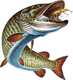 Avatar do usuário