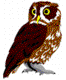 Avatar do usuário
